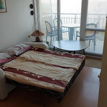 Sunny House *