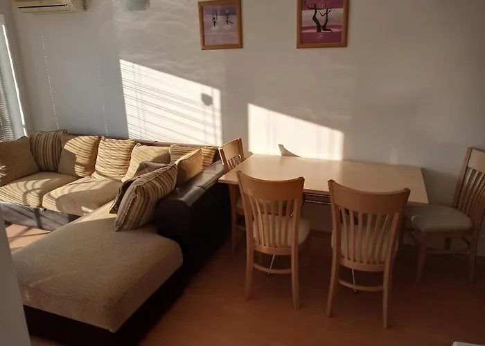 Sunny House *