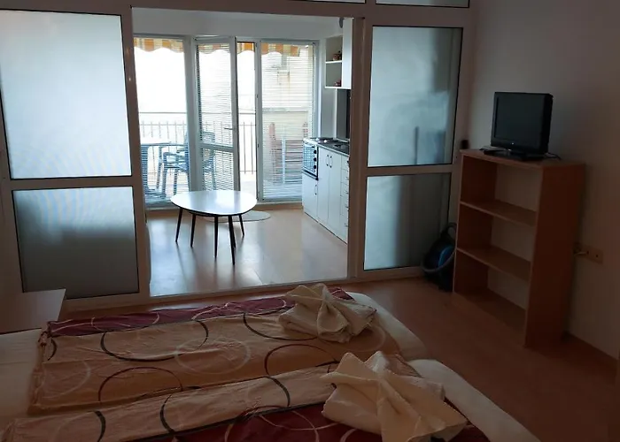 Sunny House Apartment