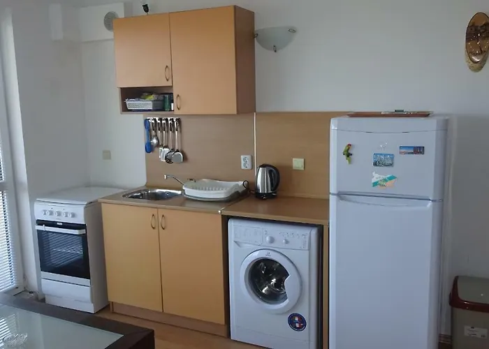 Sunny House Apartment